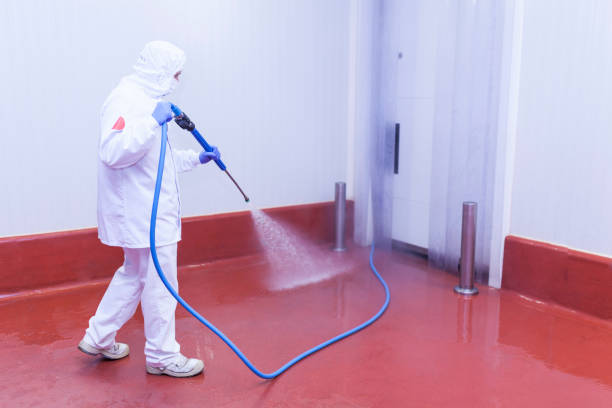 Best Vinyl Siding Pressure Washing in Eagle, ID